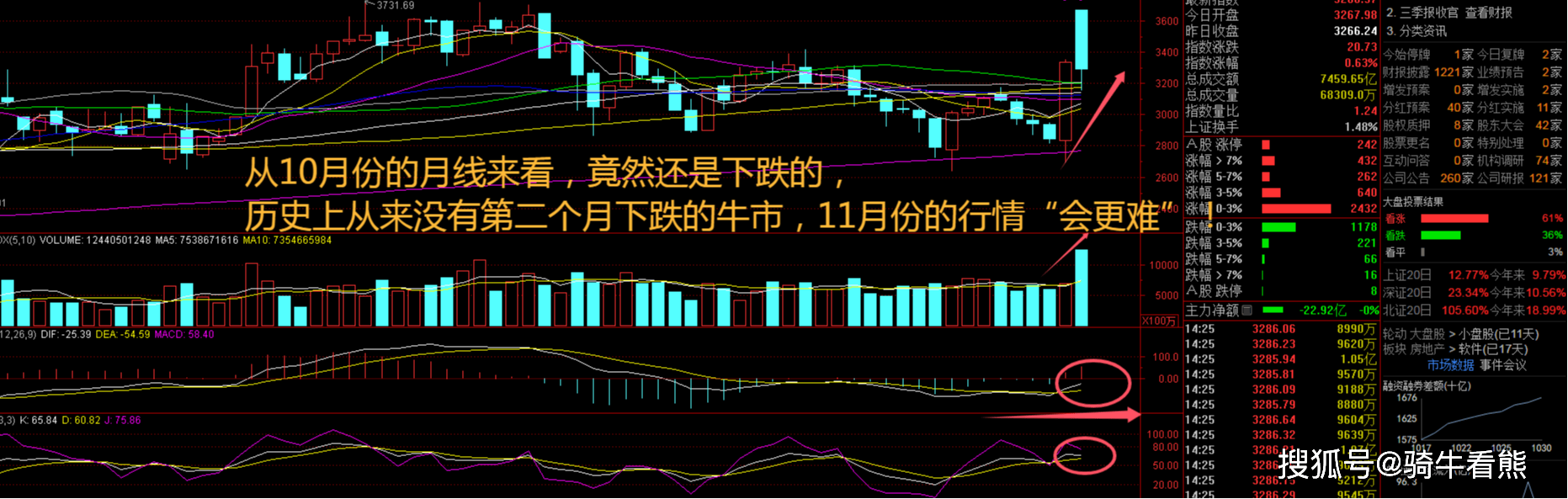 多元金融大涨！指数反弹上攻还能涨吗？尊龙凯时ag旗舰厅登录牛市旗手狂飙